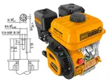 Gasoline Engine