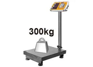 Electronic scale